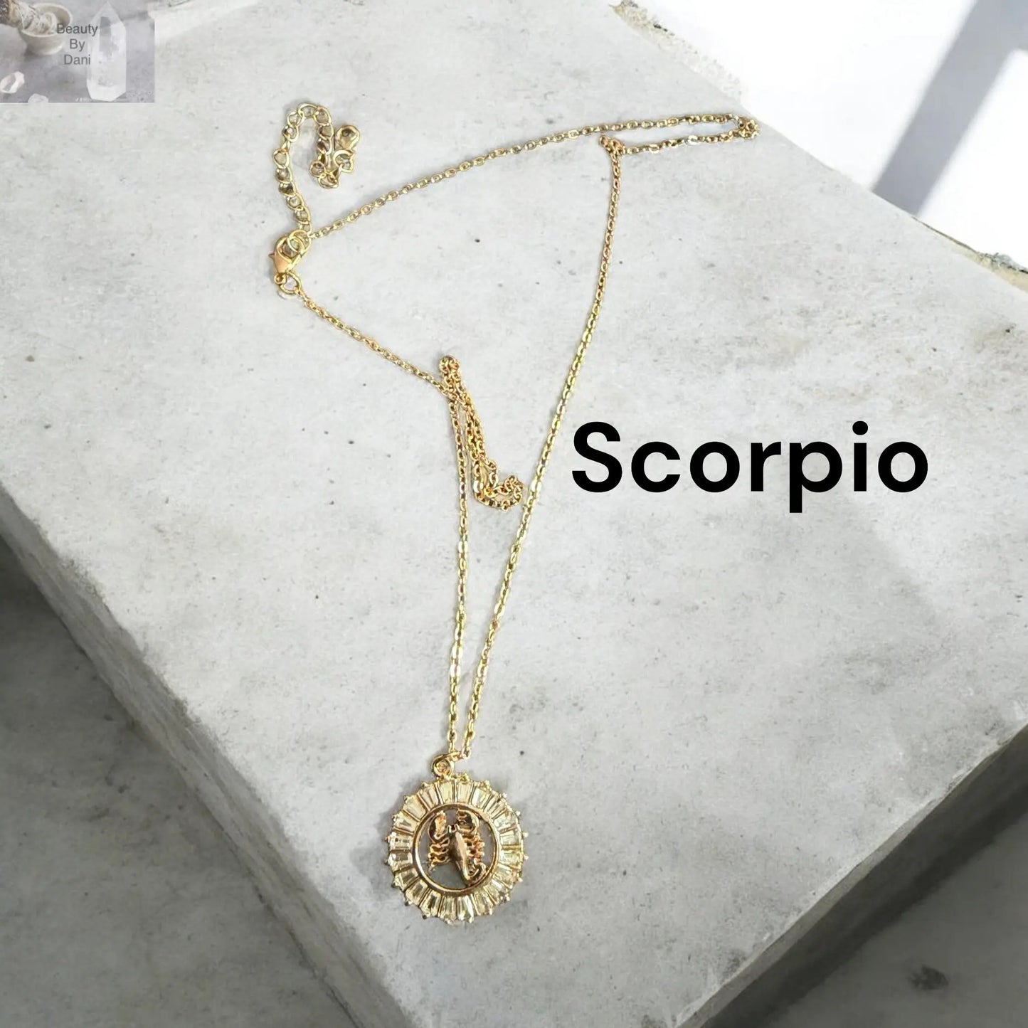 Zodiac Rhinestone Goldtone Stainless Steel Necklace