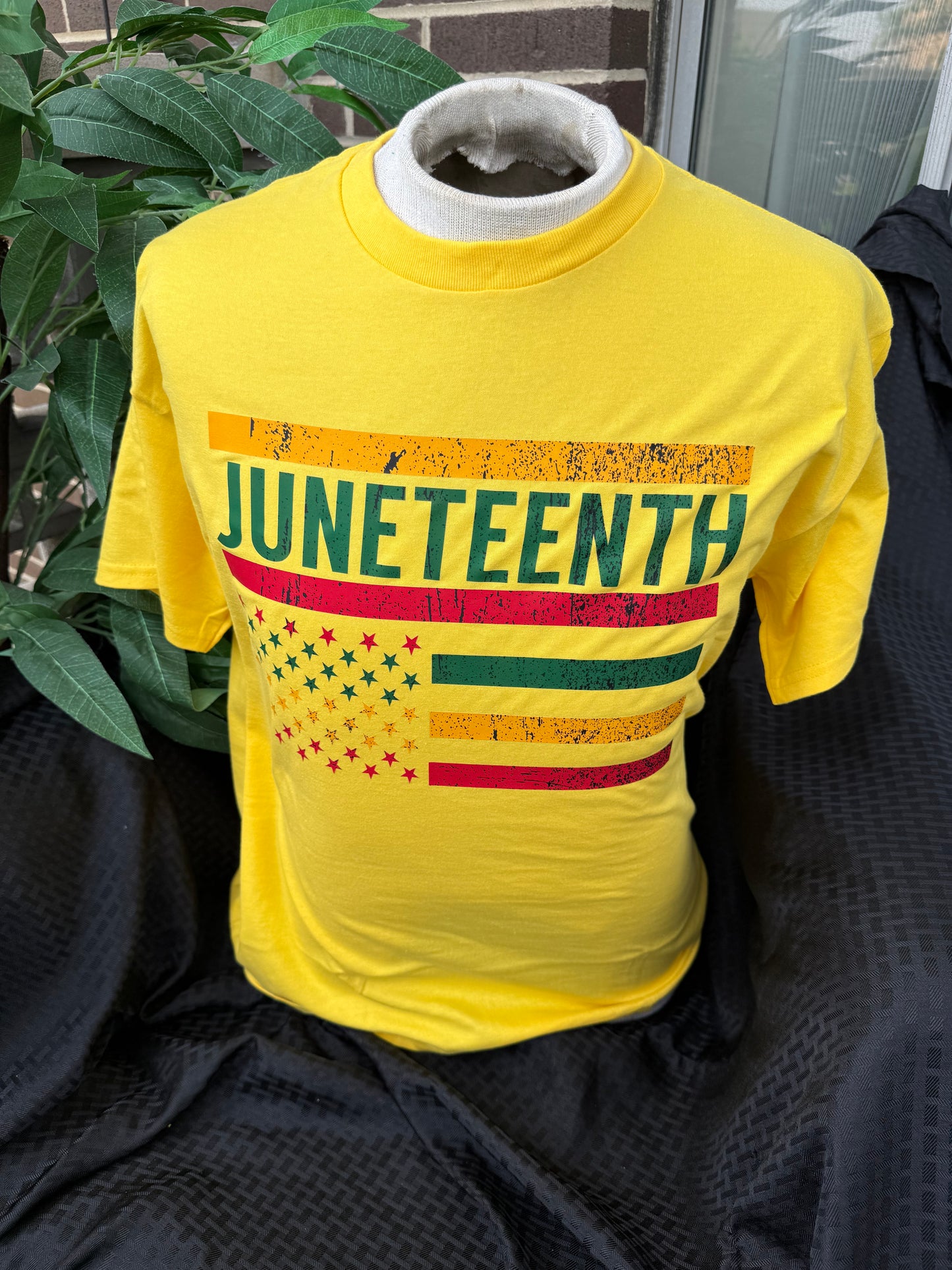 Juneteenth Celebration T-Shirt