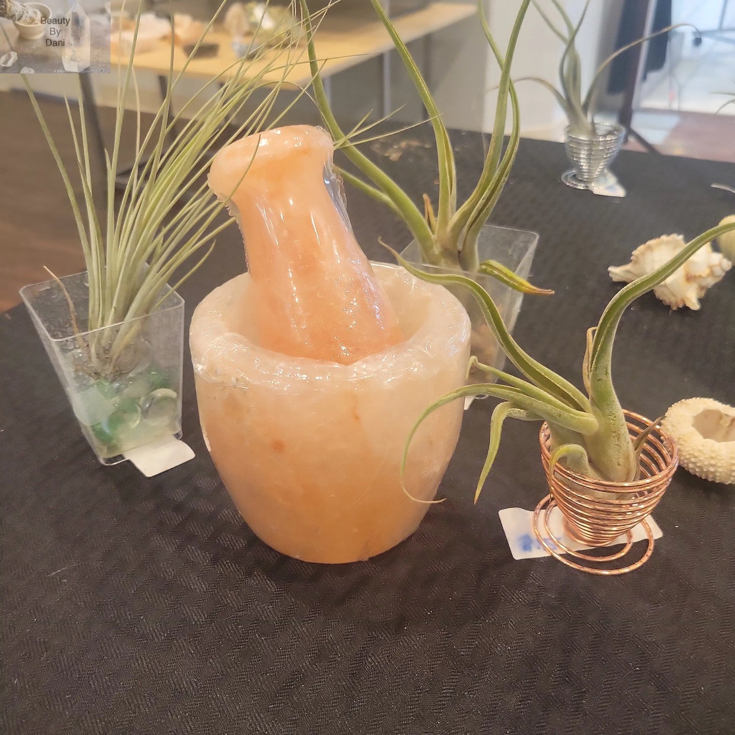 Himalayan Salt Mortar and Pestle Set - Beauty by Dani