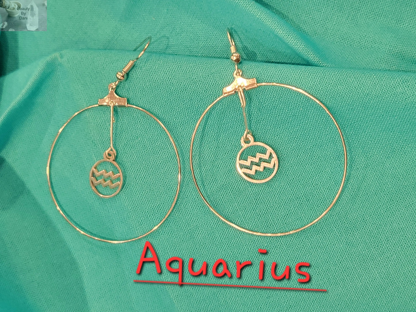 Zodiac Earrings - Beauty by Dani