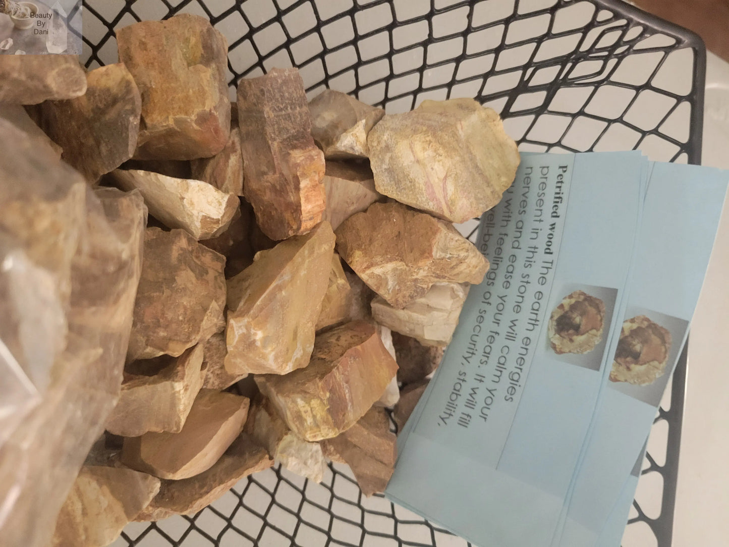 Raw Petrified Wood - Beauty by Dani