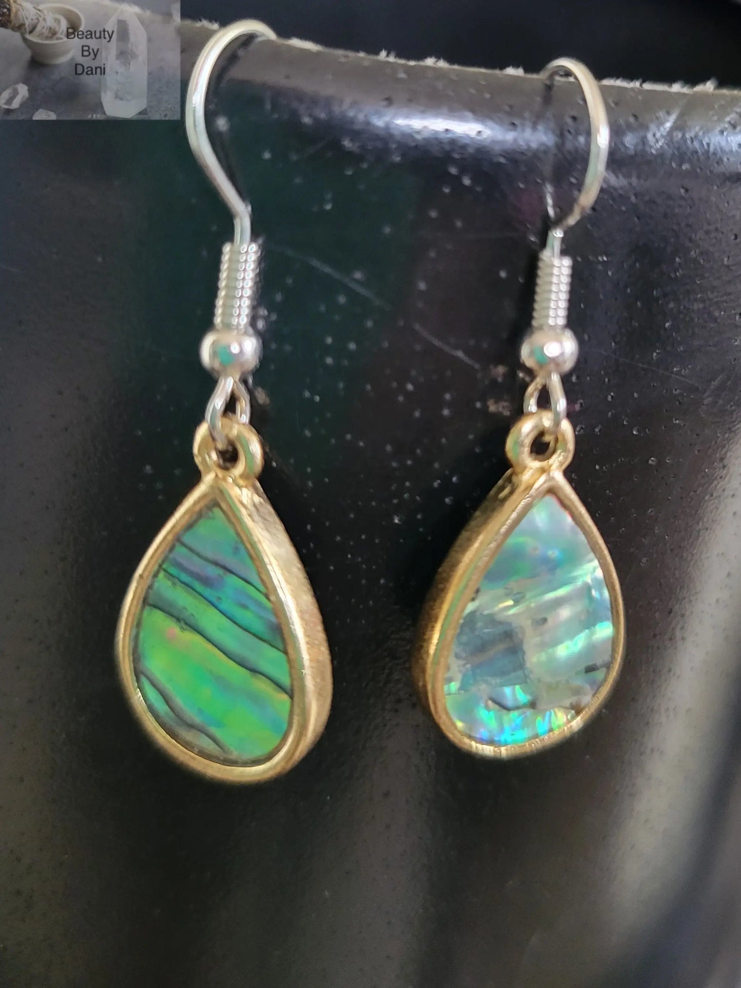Abalone Earrings - Beauty by Dani