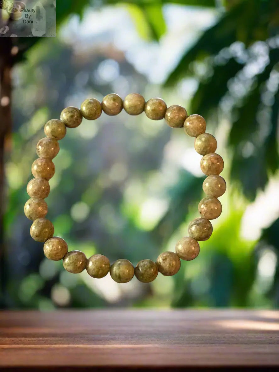 Jasper Healing Bracelet Beauty by Dani Gems and More