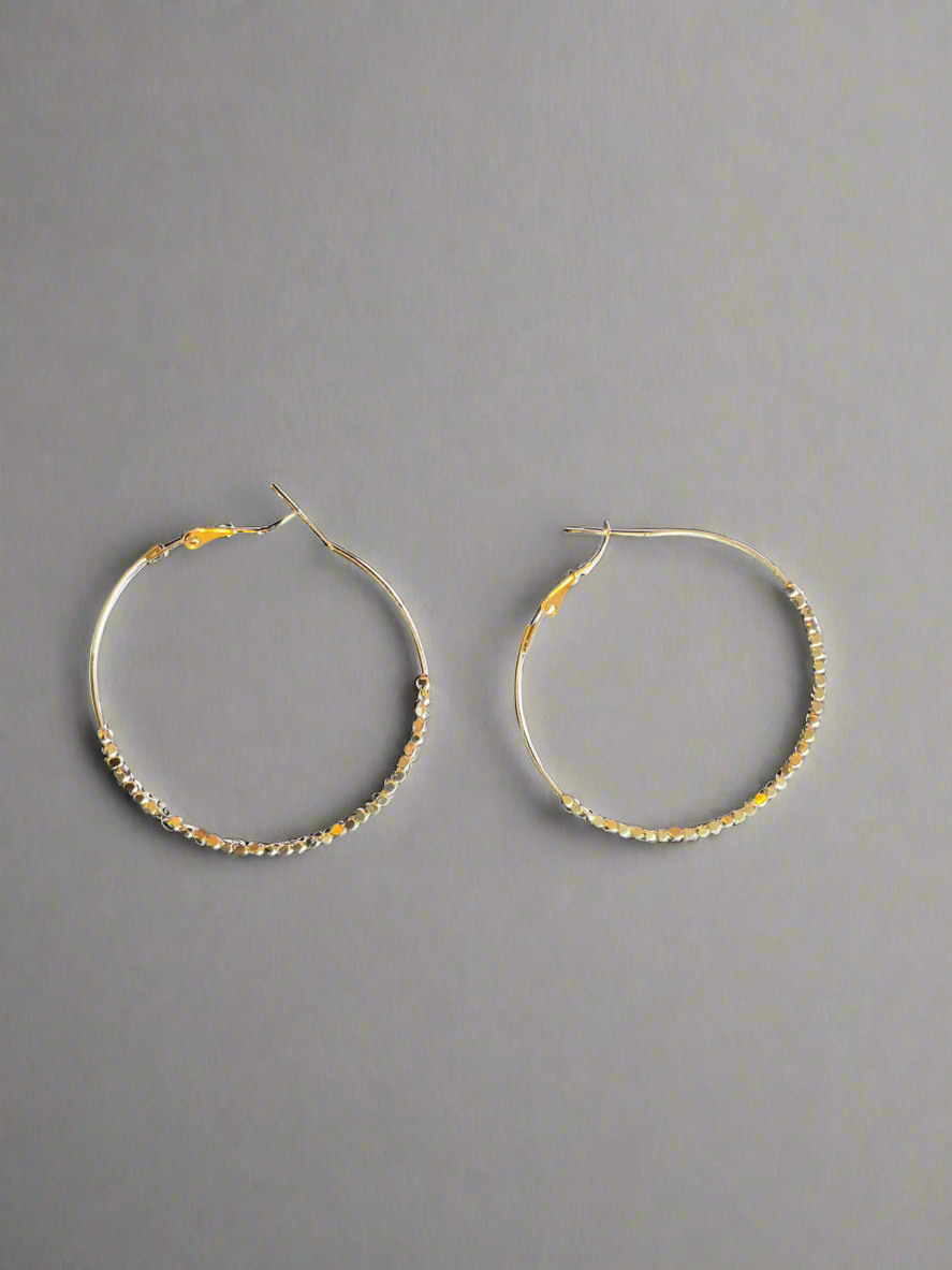 Stainless Steel Hoop Earrings