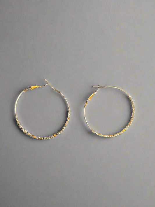 Stainless Steel Hoop Earrings