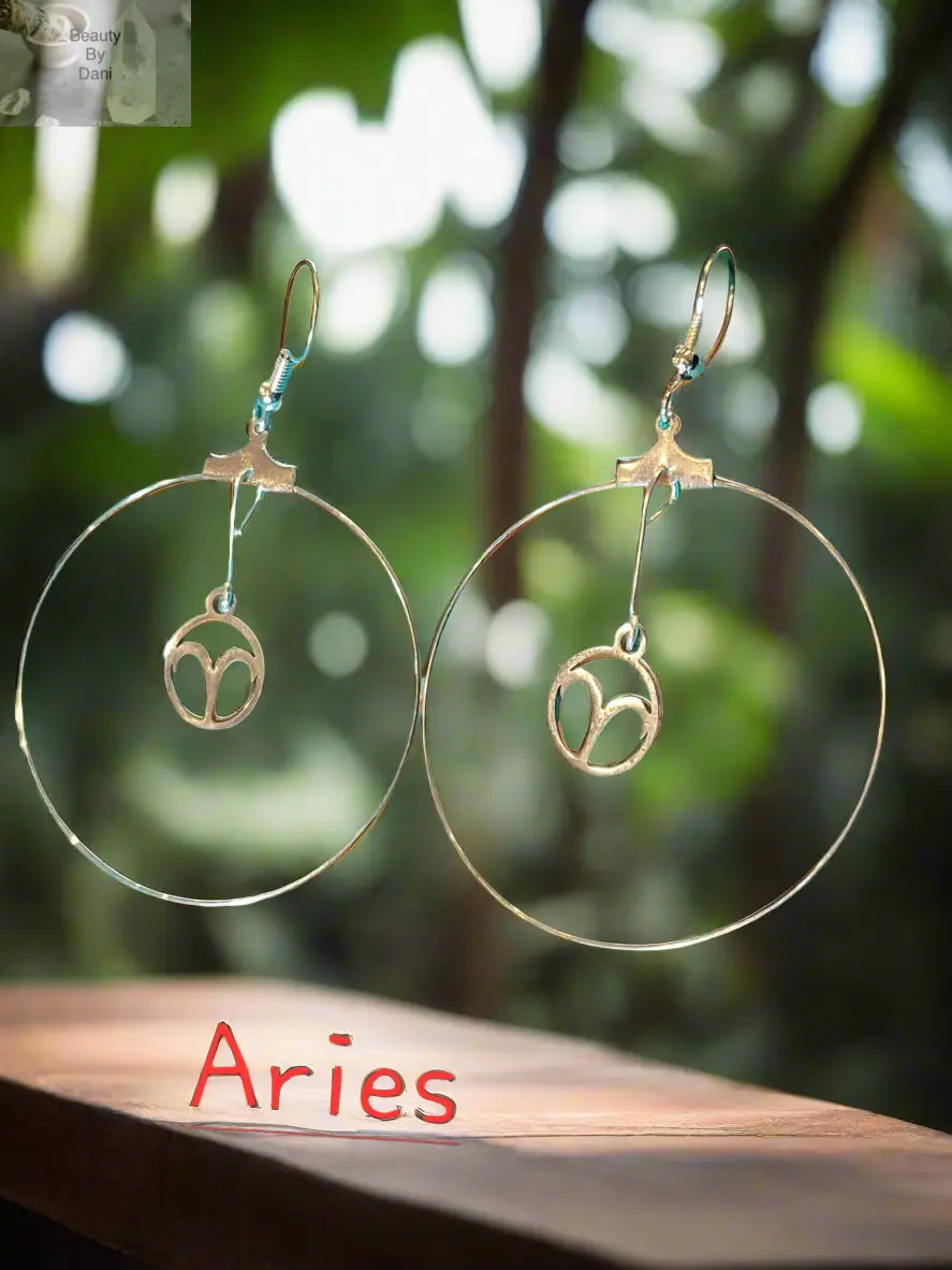 Zodiac Sign Stainless Steel Hook Post Earrings Beauty by Dani