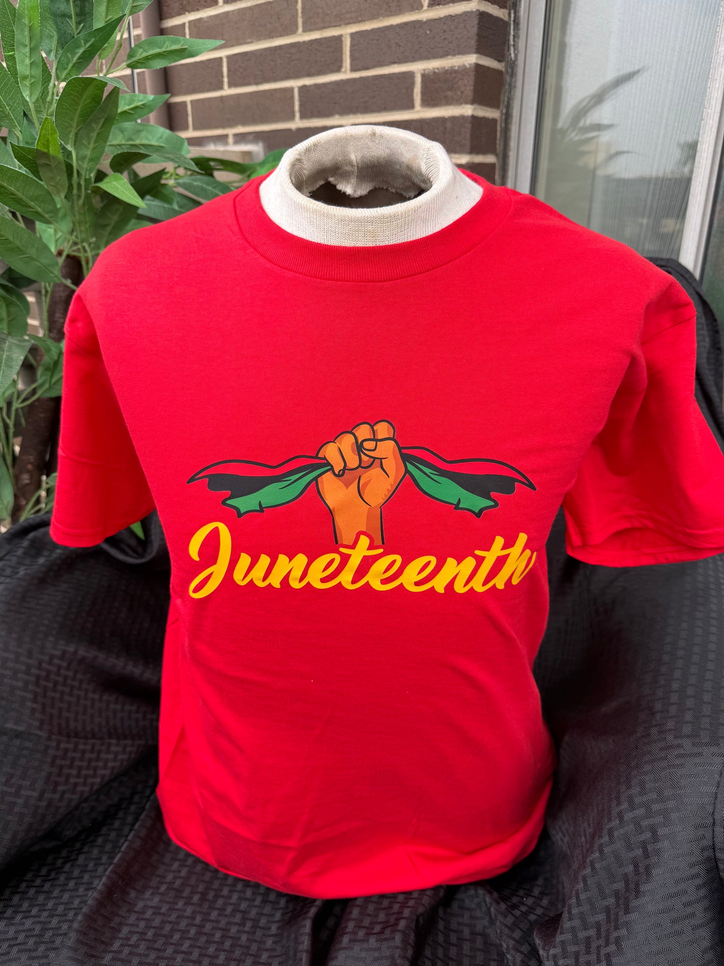 Juneteenth Celebration T-shirt