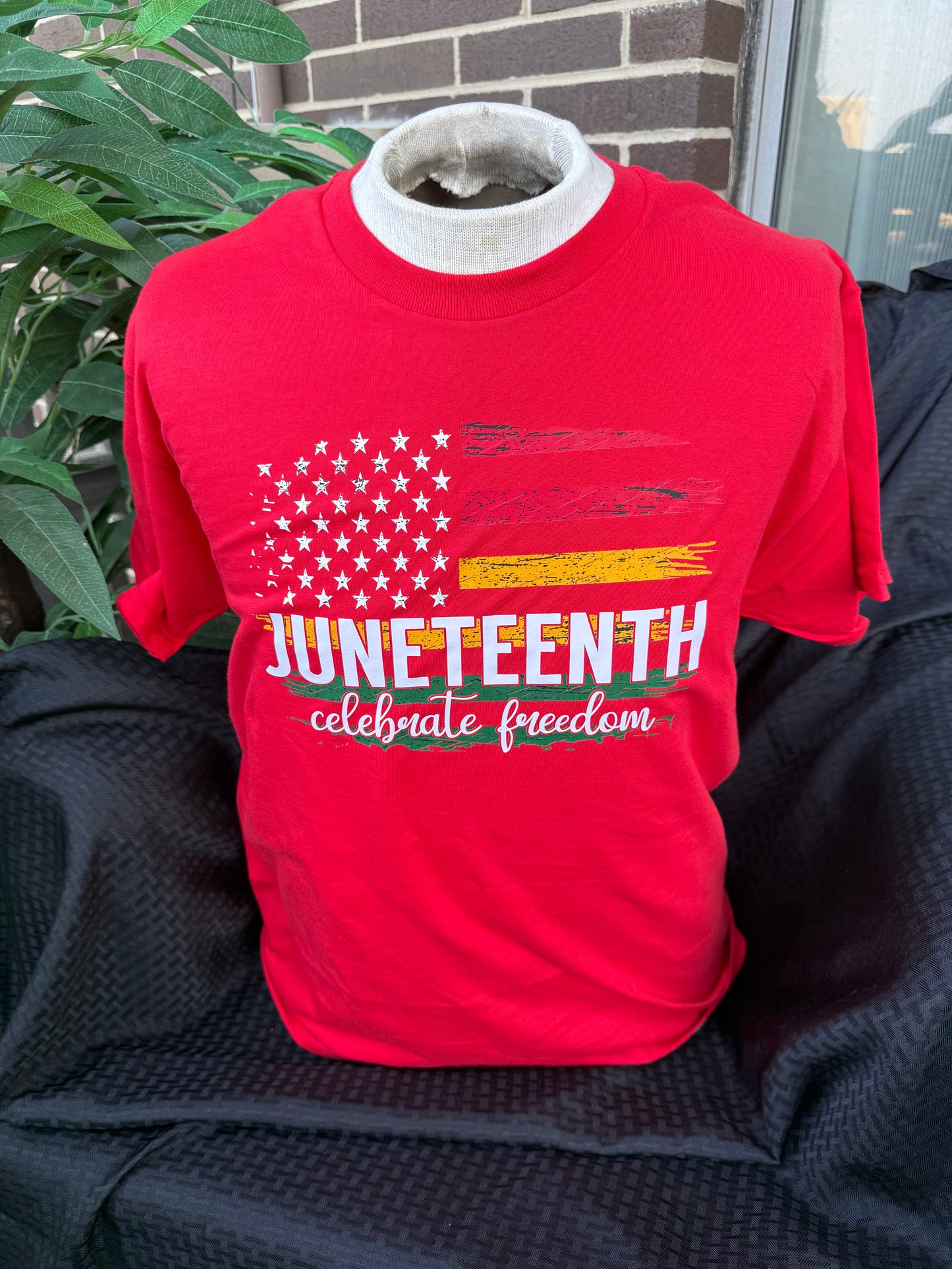 Juneteenth Celebration T-Shirt
