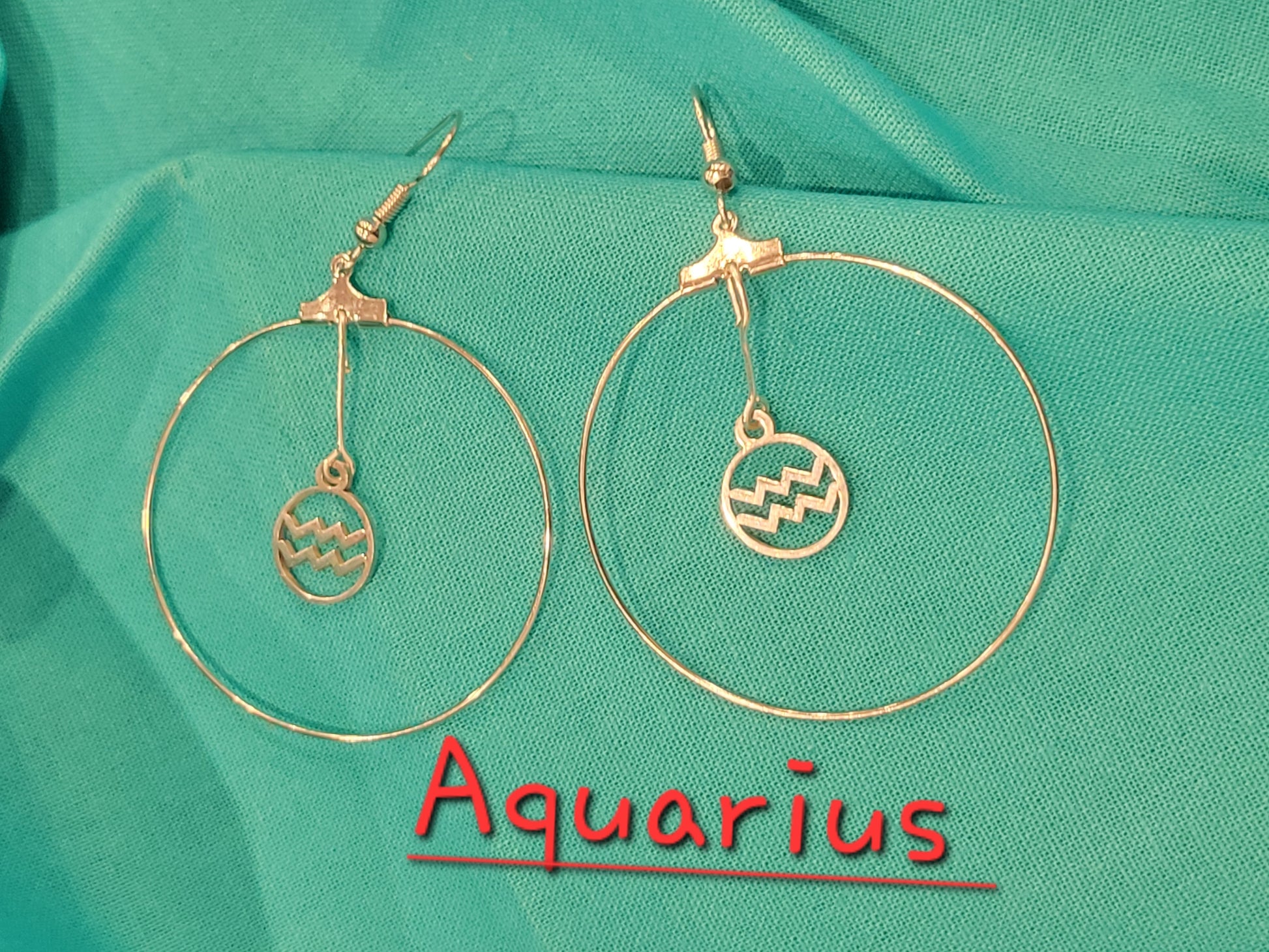 Zodiac Earrings - Beauty by Dani