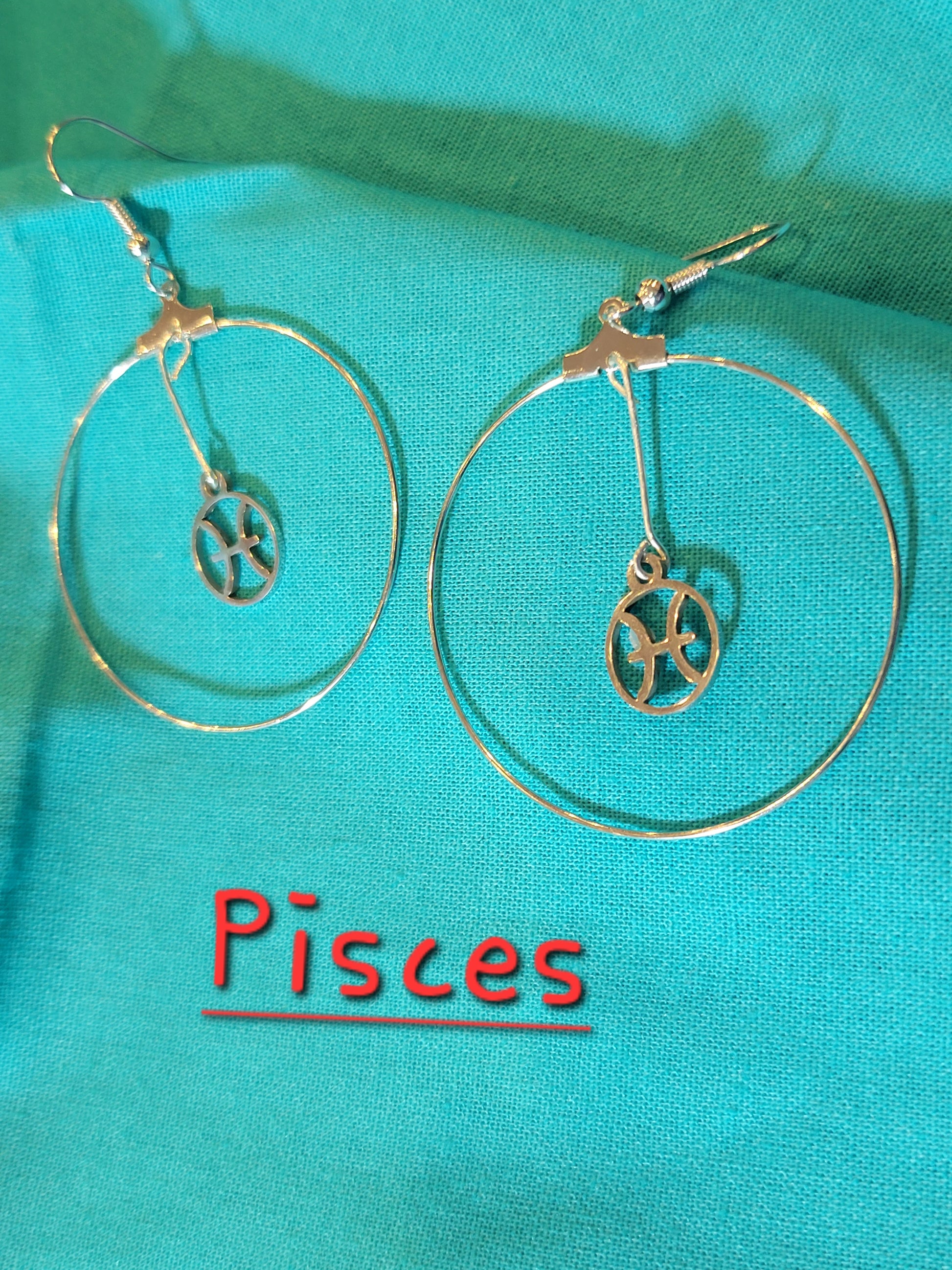 Zodiac Earrings - Beauty by Dani