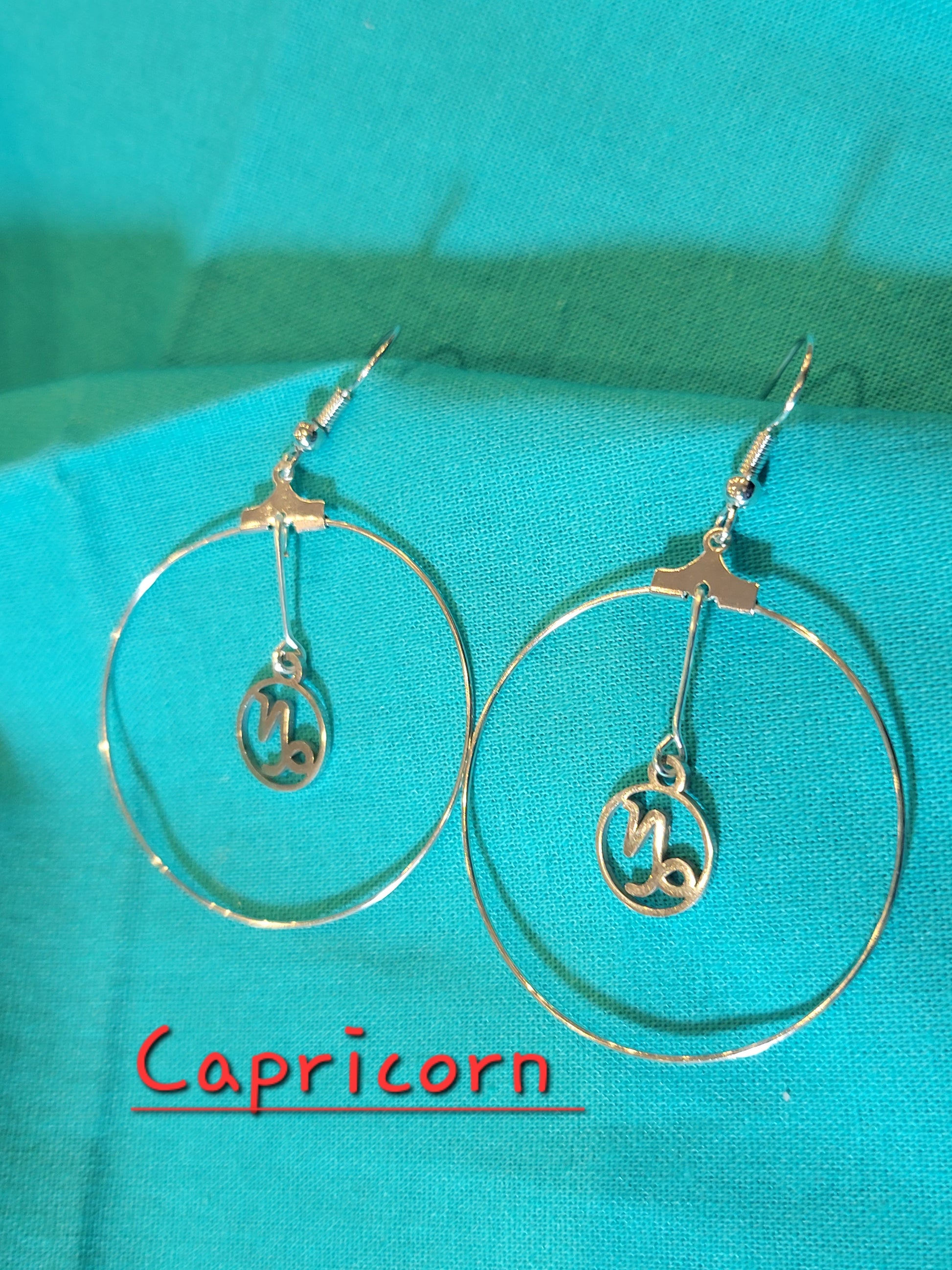 Zodiac Earrings - Beauty by Dani