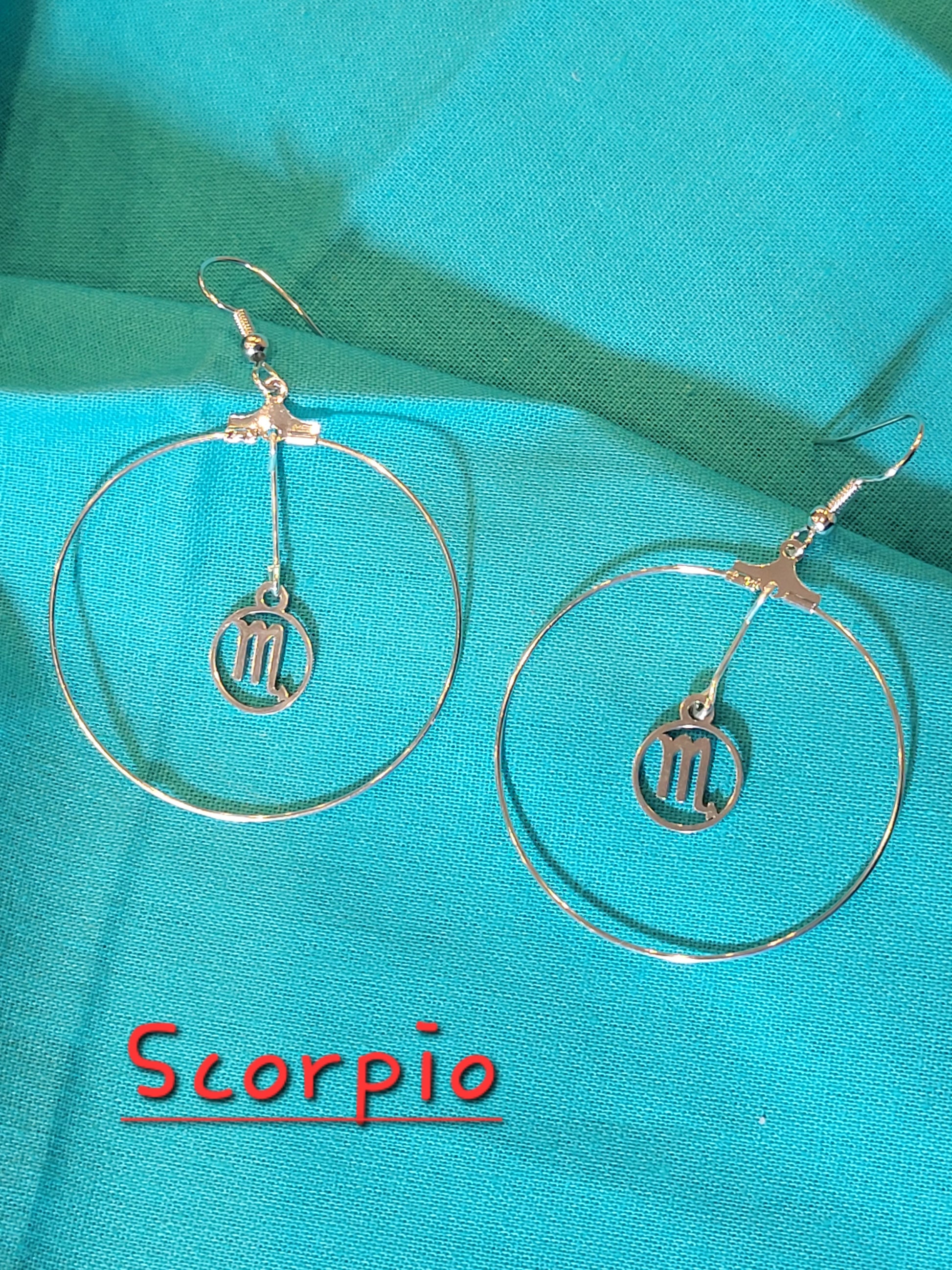 Zodiac Earrings - Beauty by Dani