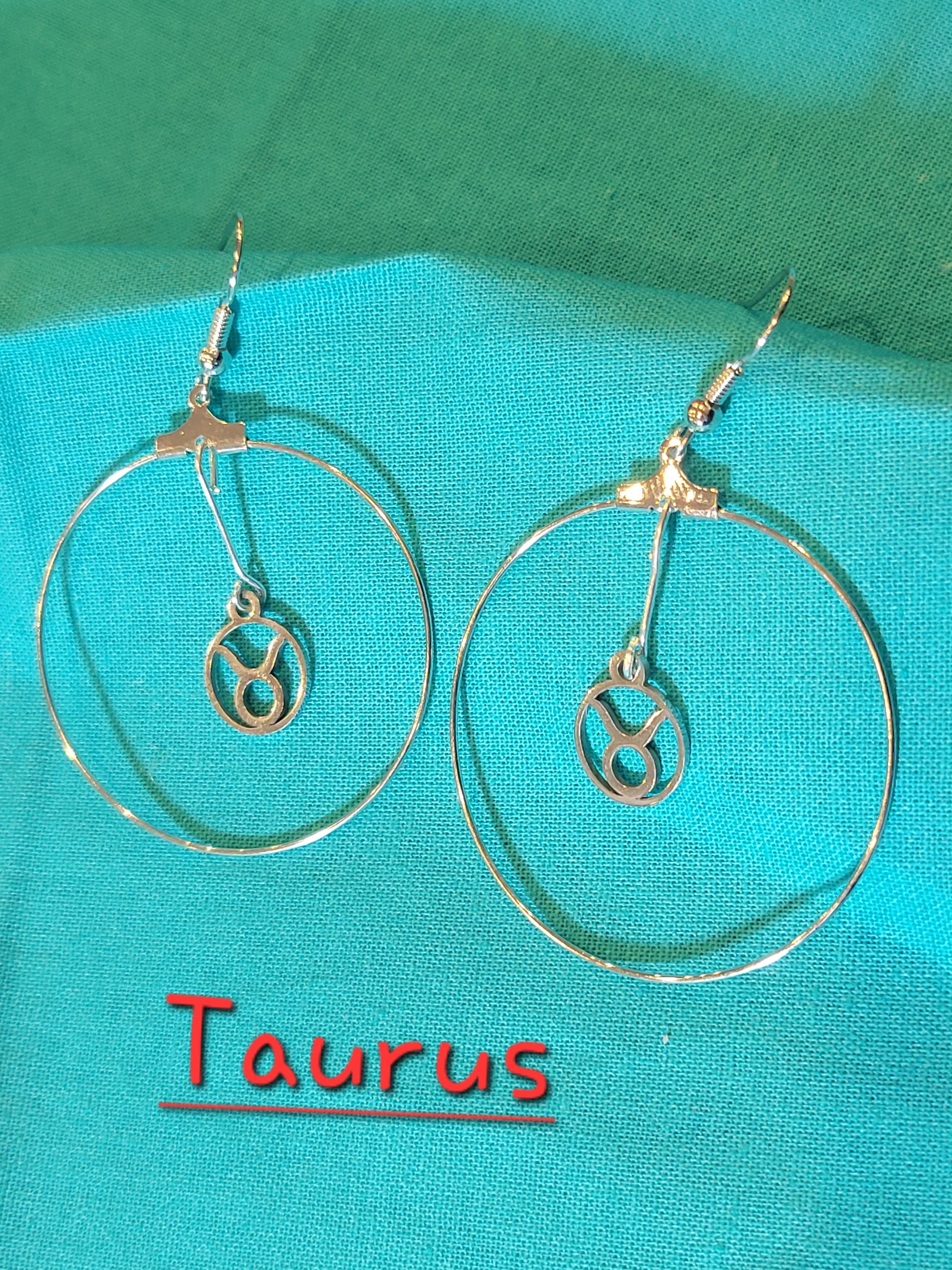 Zodiac Earrings - Beauty by Dani