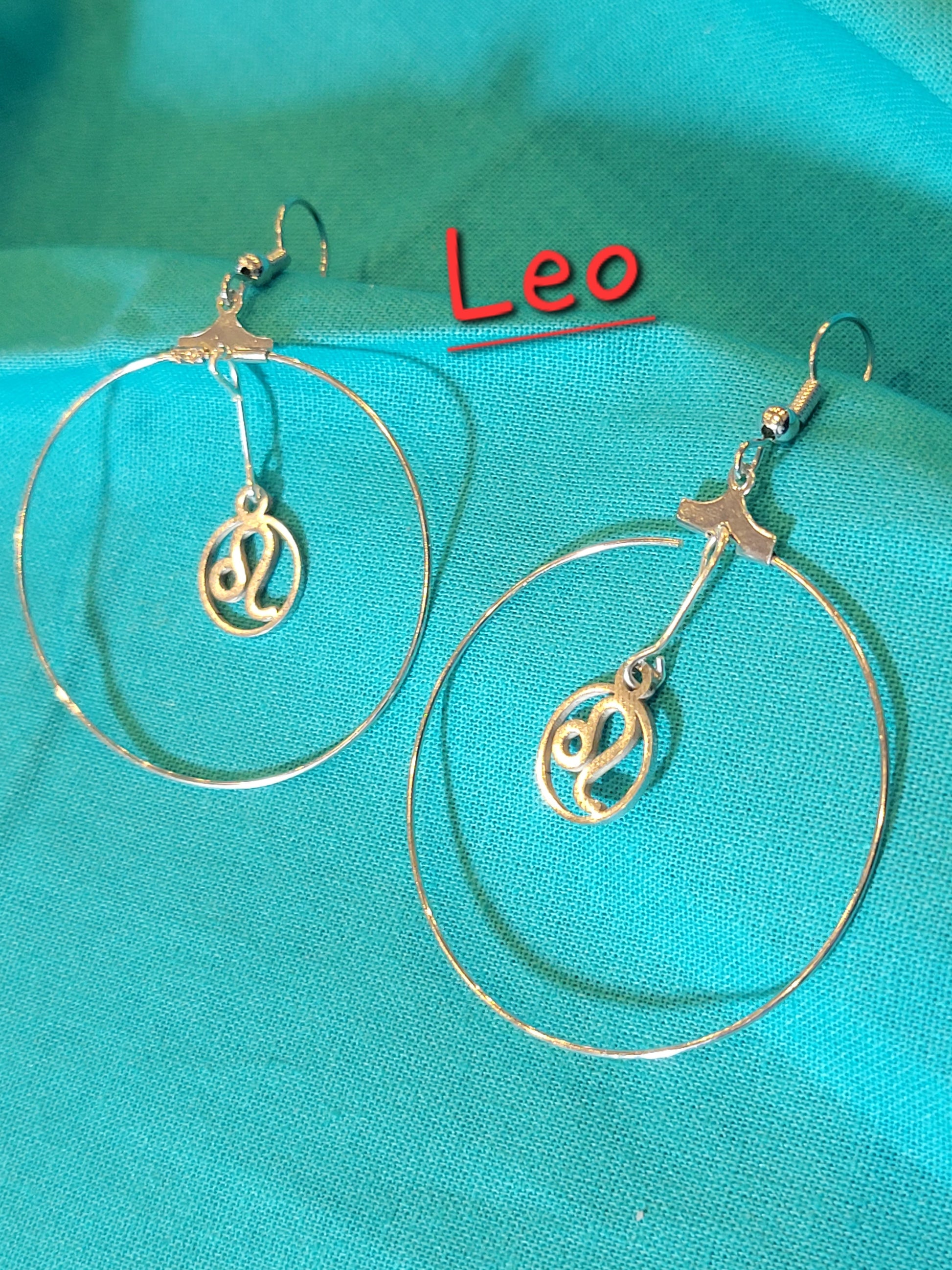 Zodiac Earrings - Beauty by Dani